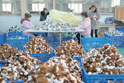 陜西工業邁向縱深 玩具產業的轉型與機遇