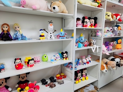 在安康創辦玩具工廠 機遇、挑戰與前景展望